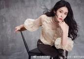 Is rate of concert seat of honour gloomy? Zhang Bichen just denies: Public opinion of intended misdi