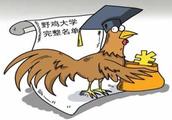 Beg diffuse! 392 grouse universities are newest an