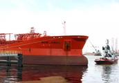 Leak of oil plants of Norwegian company ship causes wadi to pollute water bird fall victim badly