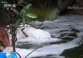 Environmental protection of Hainan article prosperous investigates again: Water black river is smell