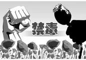 The county in dragon: Two farmer cultivate opium poppy illegally to be appealed to to obtain punishm
