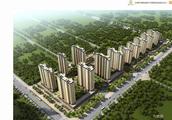 Jin Dinghua county: Make piece of shop east city p