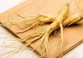 Feed medicine to share ｜ ginseng, the root of red-r
