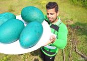 Emu egg, chorion is green, guess an Indian how can