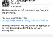 Malic IOS12 Beta9 is pushed send