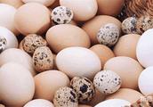 Egg kind nutrient value differs so big, did not th