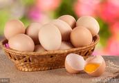 Tomorrow (on August 24) egg price is forecasted