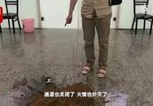 Charge treasure is violated compasses be barred by the member that Zhengzhou airport installs check