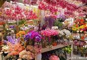 Flowers market has 