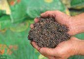 True and false the 6 old law that organic fertilizer discerns!