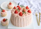 Wind of relative of good news of novice of ～ of strawberry butter cake also need not use minute of e